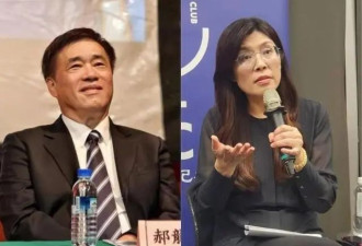 郑丽文当选后即提三大原则，郝龙斌喊话团结...
