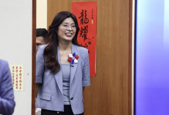 “敌人”已借壳上市 郑丽文成洪秀柱第二