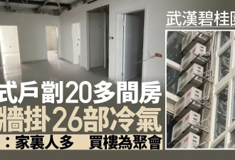 武汉碧桂园房子竟装20多部冷气 业主：家里人多 买楼为聚会