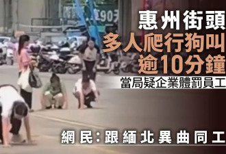 广东街头惊现：多人爬行狗叫 疑似企业体罚员工 网：跟缅北异曲同工