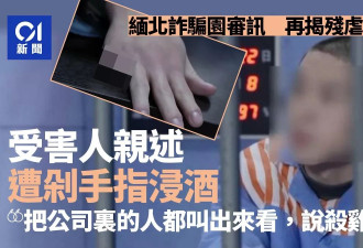 缅甸诈骗园残忍手段：竹片挑断手筋 剁手指浸酒