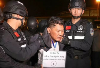 缅甸诈骗园残忍手段：竹片挑断手筋 剁手指浸酒