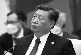 从最严厉稀土管制 看习近平大权在握