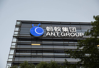 “AI专家”被妻子实名举报学历造假 更离谱是…
