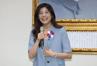郑丽文当选国民党主席,民进党未发贺电,谢寒冰...