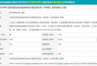 中亚的老外们，以后可能买不到中国便宜车了