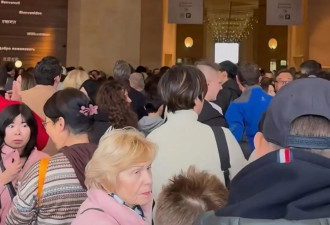 亲历卢浮宫劫案的中国观众：进入不到一小时就...