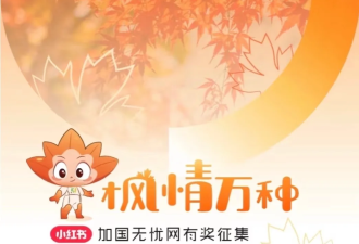 最后一天：2025“枫情万种”图片征集活动等你参加！有礼品卡