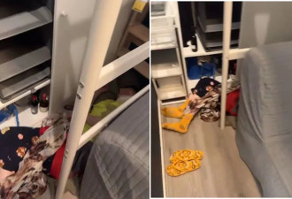IKEA女客人奇葩睡姿还带酒 网惊“变捡尸”