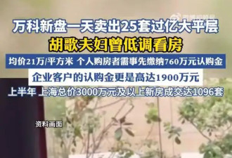 胡歌被曝与妻子到亿元大平层看房，网友：只有明星才能买的起吧？