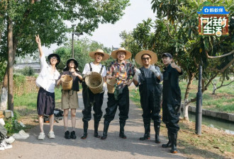 从“慢综艺鼻祖”到“爆改失败”，《向往的生活》再也“回不去”了？