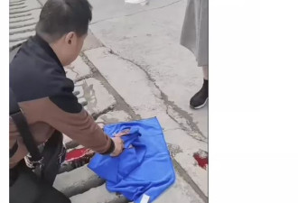 究竟是什么把荒谬离奇到极致的画面带到我们身边?