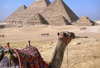 世界顶级旅游胜地：巴黎铁塔与埃及金字塔之旅