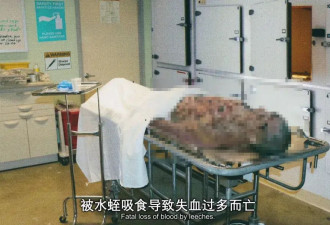 尺度大到打码！今年最新10大恐怖电影！
