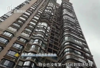 上海有人私挖地面达半米，33层上百名业主彻底慌了