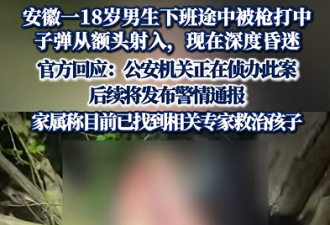 近日安徽18岁男孩深夜遭遇枪击 枪是从哪来的?
