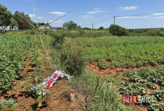 近日安徽18岁男孩深夜遭遇枪击 枪是从哪来的?