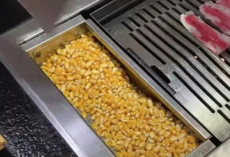 玉米当燃料引争议，是助农还是浪费粮食？