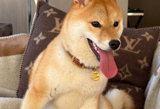 杨兰兰悉尼海景顶层豪宅已被清空 天价劳斯莱斯"失踪"