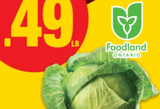 本周特价: 苹果$0.67 鸡蛋$2.99 日本甜薯$1 牛尾$8
