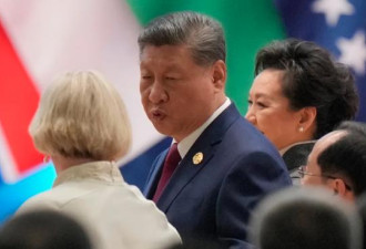 最新数据打脸川普 彭博：习近平谈判或放大招