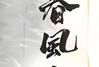 刘晓庆：秀书法作品褒贬不一，专业人士提出看法