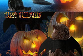 1.6折，Pet Cat Bat Wings for Halloween