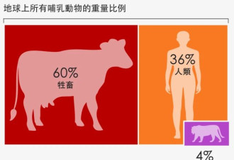 未来的智慧物种会知道人类曾经存在过吗？