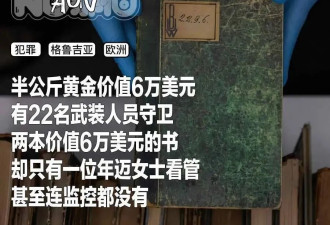 毫无防备：卢浮宫大劫案之外的另一场神秘盗窃案