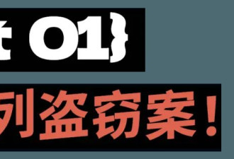 毫无防备：卢浮宫大劫案之外的另一场神秘盗窃案