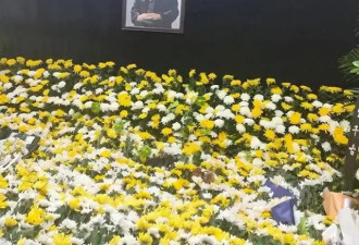 他是杨振宁三弟 93岁低调成谜却是真大佬 妻子曾是妇联副主席