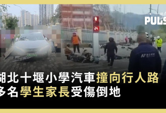 惨不忍睹！湖北汽车冲撞小学生 社群全删光