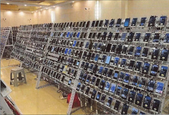 华人首脑陈志电骗帝国：韩国人"卖猪仔"地狱真相