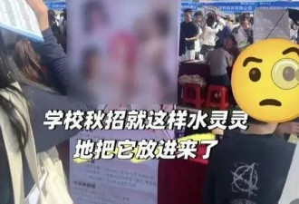 为了就业，年轻人拼了