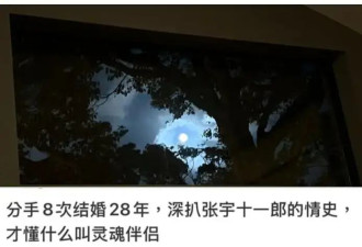 张宇辟谣结婚28年出轨8次：真不知道被冤了多少年