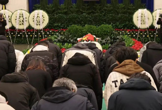翁帆现身杨振宁葬礼，穿黑衣戴白花哭肿眼睛