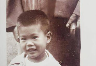 杨振宁与长子的一通电话，暴露了翁帆真实地位