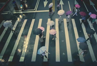 “是否愿为保台牺牲生命？”台媒最新民调出炉