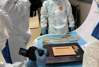 毕卡索画作参展途中神秘消失 西班牙警方成功找回