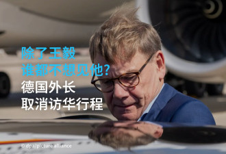 除了王毅谁都不想见他？德外长取消周日访华计划