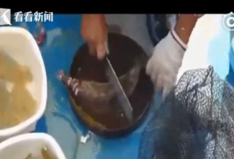大叔杀鱼划伤！手臂遭细菌吞噬 恐怖黑洞照曝光