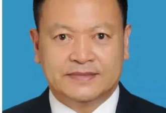 11名候补中央委员递补为中央委员会委员，他们是谁？