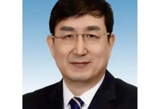 11名候补中央委员递补为中央委员会委员，他们是谁？