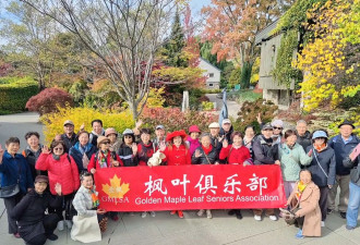 枫叶情深，秋阳暖心——枫叶俱乐部爱德华公园赏枫纪实
