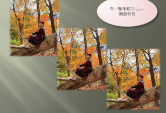 枫叶情深，秋阳暖心——枫叶俱乐部爱德华公园赏枫纪实