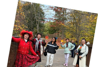 枫叶情深，秋阳暖心——枫叶俱乐部爱德华公园赏枫纪实