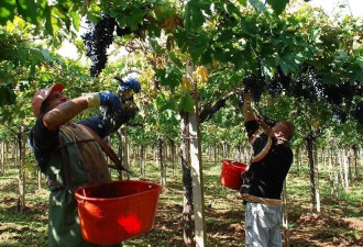 日本“失去的30年”，炼成了中国餐厅排队王？