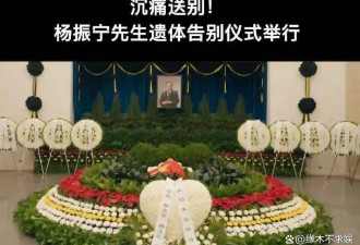 白发人送黑发人！杨振宁大儿子疑已去世