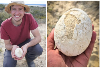 7000万年前恐龙蛋出土！光滑如水煮蛋
