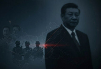 蔡霞惊曝：何卫东苗华落马真实内幕